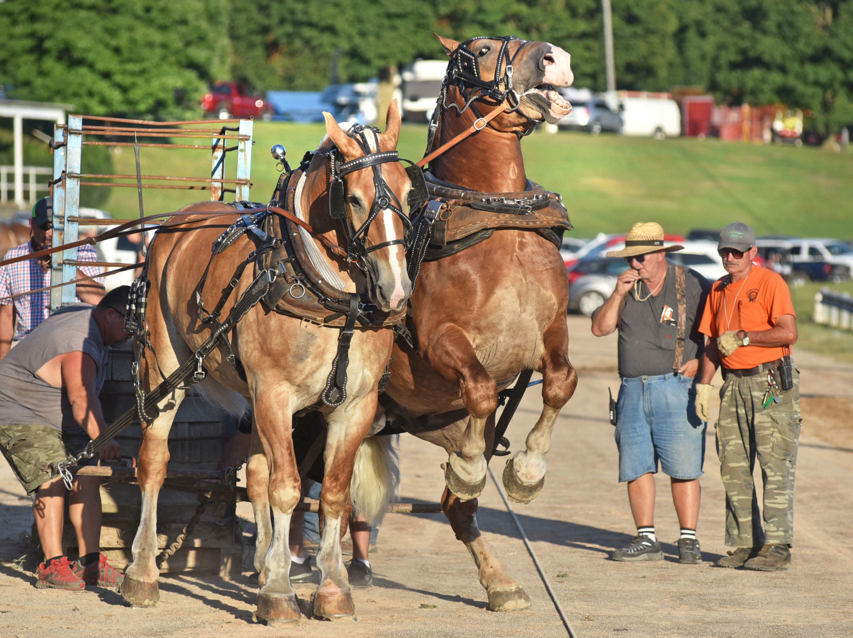 HorsePull1 8-19